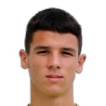 L. Serdar